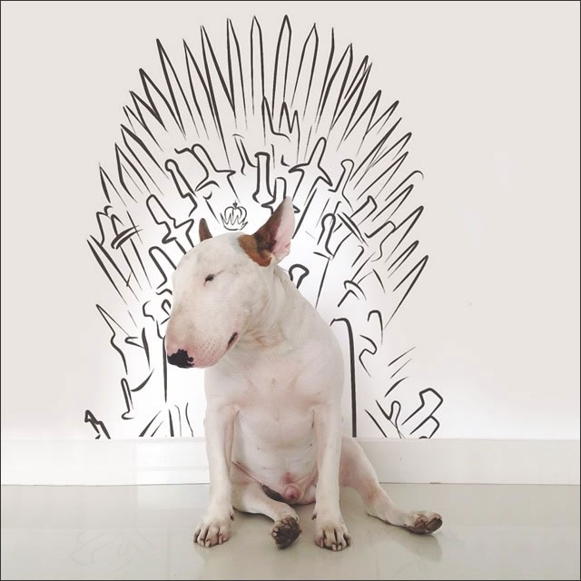 perro-tronos