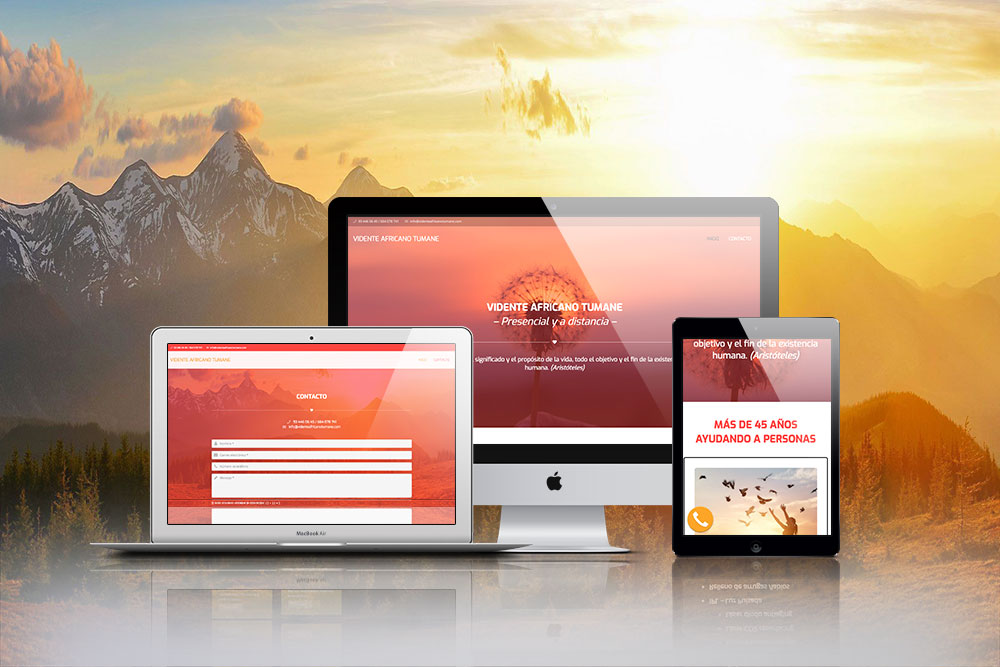 Diseño web Marbella